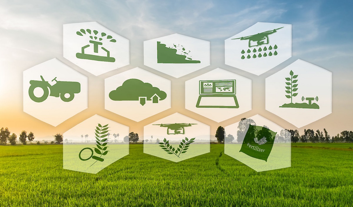 agritech-project-overview-BSIT-Software-Services-Web-And-App-Development-Company-India
