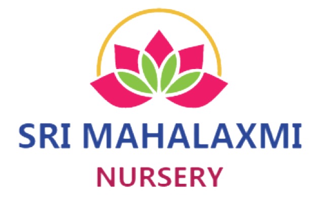 Our_Clients_Mahalaxmi-Nursery_BSIT_Software_Services_Web_And_App_Development_Company_In_India
