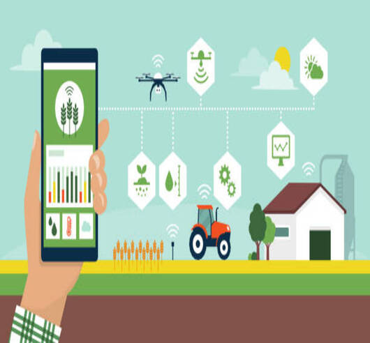 Ag-academy-project-Overview-BSIT-Software-Services-Web-And-App-Development-Company-In-India