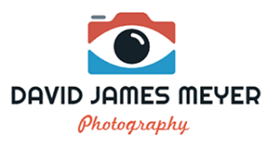 Our_Clients_David_Photography_BSIT_Software_Services_Web_And_App_Development_Company_In_India